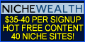 Niche Wealth Adult Webmaster Program